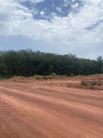Bán Đất 300m2 có sẵn 200 m2 thổ cư giá 285 triệu tại Xã Tân Lợi Huyện Đồng Phú Bình Phước
