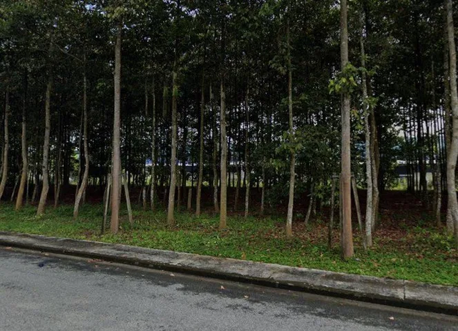Bán Đất 300m2 có sẵn 300 m2 thổ cư giá 4.5 tỷ tại Xã Lai Hưng Huyện Bàu Bàng Bình Dương