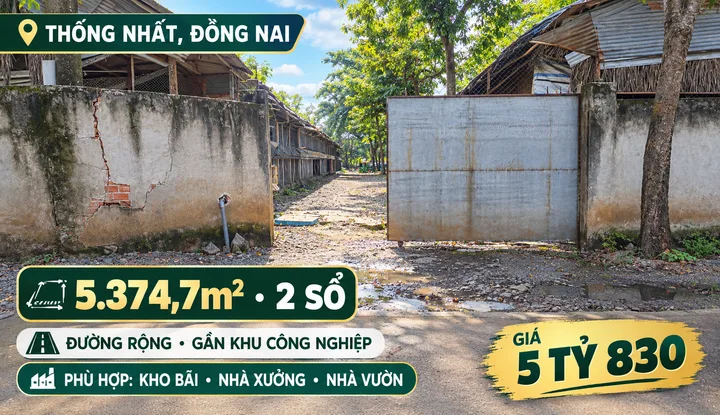Bán tại Quang Trung, Thống Nhất, Đồng Nai