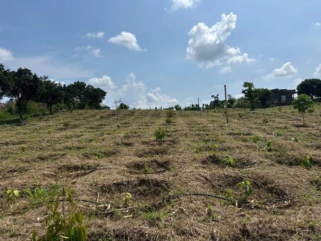 Bán Đất 33952m2 giá 3.7 tỷ tại Xã Ea H'leo Huyện Ea H'leo Đắk Lắk