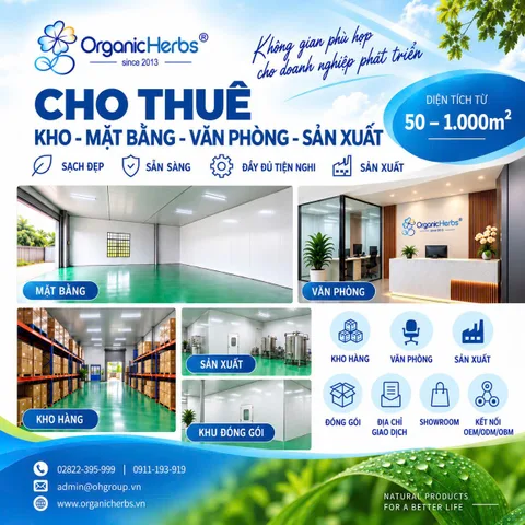 CHO THUÊ KHO – MẶT BẰNG – VĂN PHÒNG – KHU SẢN XUẤT TẠI KCN TÂN ĐỨC, ĐỨC HÒA, LONG AN ( TÂY NINH )