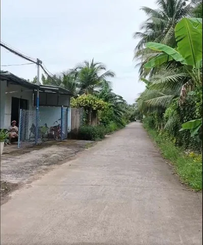Bán Đất 577.5m2 tại Xã An Phước Huyện Châu Thành Bến Tre (nay là Giao Long, Vĩnh Long mới)