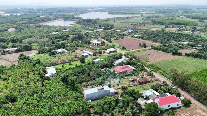 Cô chú lớn tuổi cần bán mảnh vườn 2650m² ngang 37m có sẵn nhà yến và vườn trái cây ở ĐẤT ĐỎ- BRVT