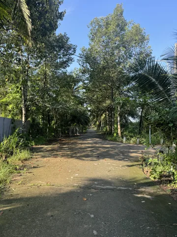 (95)Bán Đất 1700m2 có sẵn 300 m2 thổ cư,đường xe tải giá 3tr/m2 tại Xã Phú Nhuận Tp Bến Tre