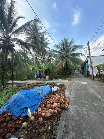 (97)Bán Đất 2000m2 có sẵn 300 m2 thổ cư đường xe tải.Có thể tách lẻ ra bán tại Xã Phú Nhuận Tp Bến Tre