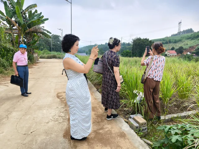 Bán giá 100 triệu tại Xã Thạch Cẩm Huyện Thạch 🔥 DÀNH CHO NHÀ ĐẦU TƯ “BẮT ĐÁY” – CHỈ TỪ 100 TRIỆU SỞ HỮU NGAY 122M² ĐẤT FULL THỔ CƯ TẠI THANH HÓA💥VỐN NHỎ, DIỆN TÍCH ĐẸP, DỄ TIẾP CẬN!
📍 Đ/C: Thạch Cẩm, Thạch Thành, Thanh Hóa
📐 Diện tích: 122m²
🏡 Full th