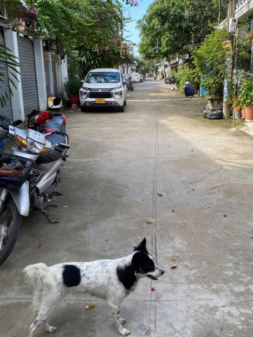 Bán Nhà riêng 41.5m2 có sẵn 41.5 m2 thổ cư giá 1.95 tỷ tại 218/45A Trần Hưng Đạo Phường An Nghiệp Quận Ninh Kiều Cần Thơ