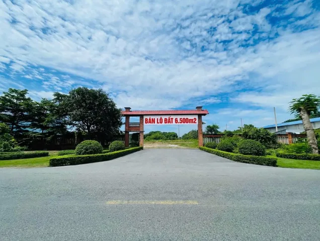Bán Đất 6500m2 có sẵn 1000 m2 thổ cư giá 15 tỷ tại Xã Khánh Bình Huyện An Phú An Giang
