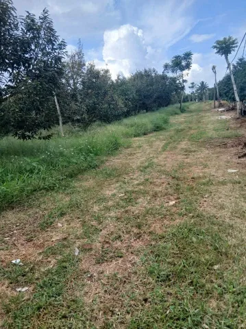 Bán Đất 6966.9m2 có sẵn 100 m2 thổ cư giá 6 tỷ tại Xã Ea Dăh Huyện Krông Năng Đắk Lắk