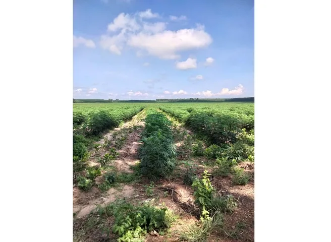 ⭐️Bán 170ha (hecta) đất Tân Thắng (Hàm Tân, Bình Thuận cũ) nay thuộc xã Sơn Mỹ, Lâm Đồng; 0869832991