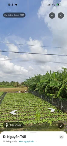 Bán Đất 276.2m2 giá 1.5 tỷ tại Xã Tân Tây Huyện Gò Công Đông Tiền Giang