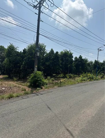 Bán Đất 1100m2 có sẵn 100 m2 thổ cư giá 339 triệu vuon cây ăn trái sẵn