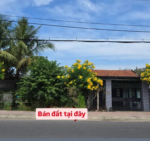 Bán Đất 311m2 giá 2 tỷ tại Đường Trung Lập Xã Trung Lập Thượng Huyện Củ Chi TP. Hồ Chí Minh