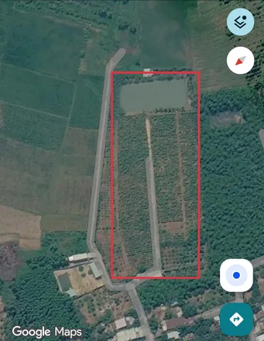 Bán Đất 19700m2 giá 24 tỷ tại Đường Hương Lộ 15 Xã Bình Lợi Huyện Vĩnh Cửu Đồng Nai