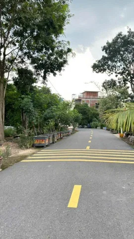 Bán Đất 159m2 có sẵn 60 m2 thổ cư giá 1.25 tỷ tại Đường Nhựa 6m  - Phường Bến Cát TP. Hồ Chí Minh