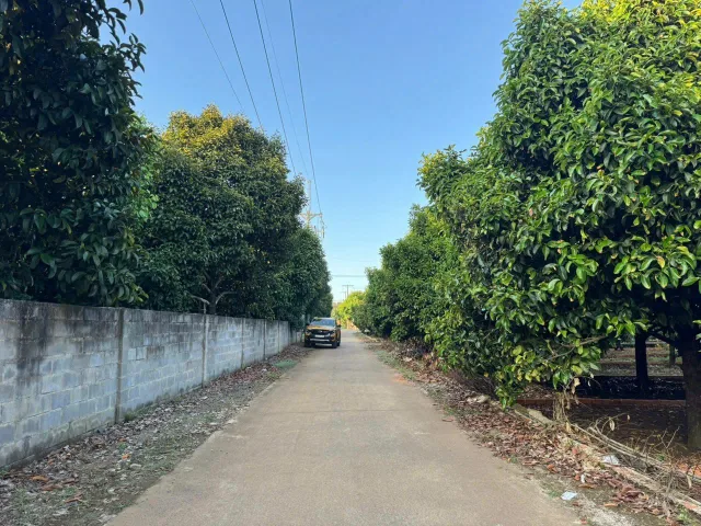 🔥 CẦN TIỀN CỨU DOANH NGHIỆP – CHẤP NHẬN BÁN CẮT LỖ LÔ ĐẤT THỔ CƯ 125M² DẦU GIÂY GIÁ CHỈ 6,2 TR/M²!
