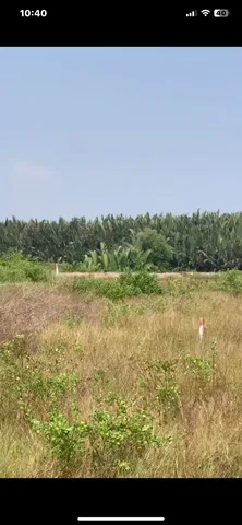 Bán Đất 20000000m2 có sẵn 4200 m2 thổ cư giá 250 tỷ tại Đường NỘ BỘ LỘ GIỚI 20M Xã Hiệp Phước Huyện Nhà Bè TP. Hồ Chí Minh