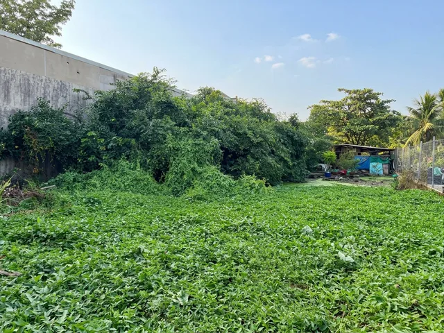 [D3127*] Giá Cực Rẻ, đất vuông A4 656m2 (15x44m) sát Chợ Nông Sản QL1A, 39.x tỷ