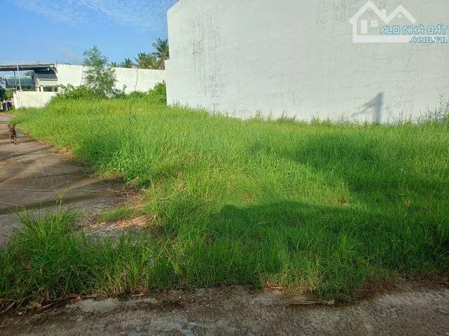 Bán Đất 215m2 có sẵn 215 m2 thổ cư giá 4.9 tỷ tại hẻm ô tô Đường Châu Thị Kim An Vĩnh Ngãi TP Tân An