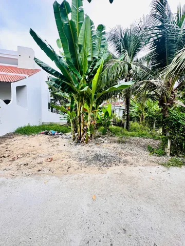 Mặt tiền Xóm Lò Rèn , Diên An Phú Ân Nam3. Dt 125m2. Giá 1.650ty