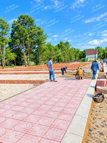 Bán Gấp lô Đất 142m2, full thổ cư giá 398 triệu tại đường thông 2 đầu cách trục dọc 2  làn khu kinh tế 35m Xã Triệu Vân Huyện Triệu Phong Quảng Trị