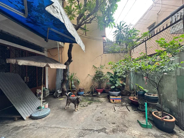 Siêu phẩm Lê Văn Sỹ, Q3 (6x25,5m) nở hậu 6,5m (155m2) CPXD 5 tầng tiện xây Villa, CHDV - 22,9 tỷ TL