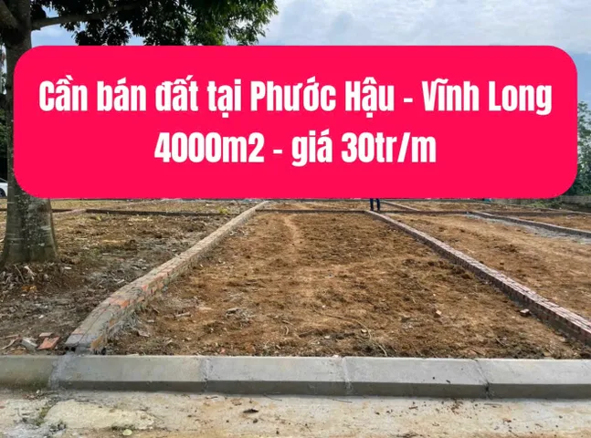 Bán Đất 4000m2 có sẵn 2500 m2 thổ cư giá 120 tỷ tại - Chọn - Phường Phước Hậu Vĩnh Long