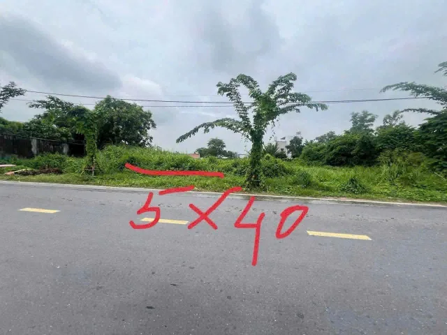 (L249) Đất mặt tiền Nguyễn Thị Lắng, xã Phước Vĩnh An, dt 204m2, đất ở hiện hữu, giá 3 tỷ 200