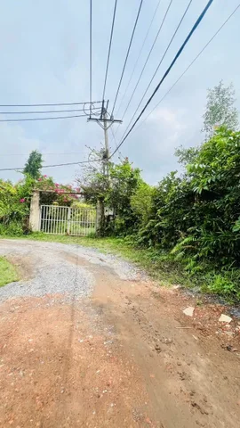 🌿 LONG PHƯỚC - 1.000M² - NGANG 11M - GIÁ CHỈ 6,3 TỶ 🌿