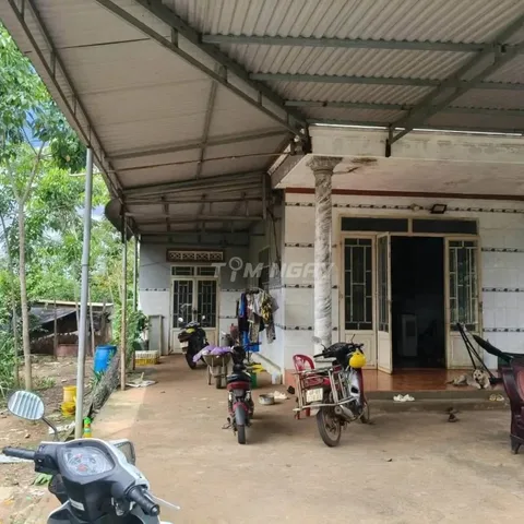 Bán 4.200m2 hơn 100m mặt tiền. Có sẵn 300m2 thổ cư