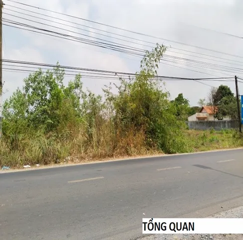 Bán Đất 2287m2 mặt tiền đường nhựa Long Phước Huyện Long Thành Đồng Nai