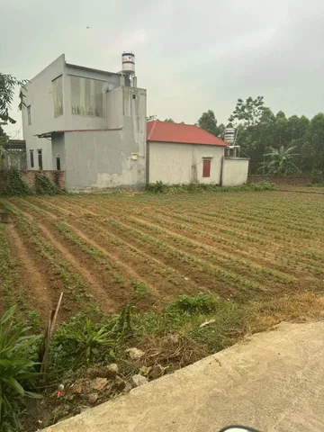 Bán Đất 100m2 có sẵn 100 m2 thổ cư giá 650 triệu tại Xã Lan Mẫu Huyện Lục Nam Bắc Giang
