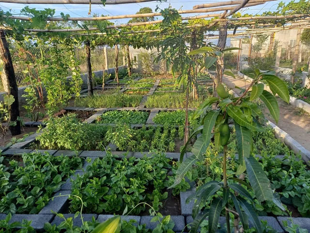 Bán Đất 300m2 giá 650 triệu tại - Chọn - Phường Bảo An Khánh Hòa