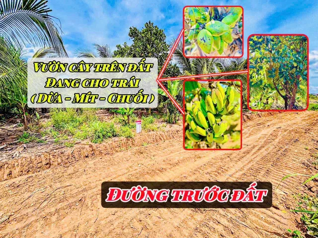 Bán Đất 456m2 có sẵn 60 m2 thổ cư giá 225 triệu tại Xã Xuân Phú Huyện Ea Kar Đắk Lắk