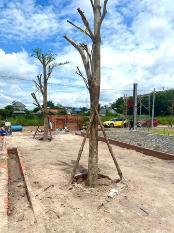 Bán Đất 230m2 có sẵn 60 m2 thổ cư giá 685 triệu tại Thị trấn Chơn Thành Thị xã Chơn Thành Bình Phước