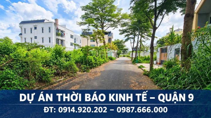 Cần bán đất nền nhà phố lô C, DT 8x20m KDC Thời Báo Kinh Tế, Bưng Ông Thoàn, Phường Long Trường
