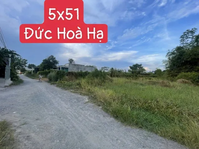 Bán Đất 250m2 có sẵn 250 m2 thổ cư giá 1.6 tỷ tại Xã Đức Hòa Hạ Huyện Đức Hòa Long An