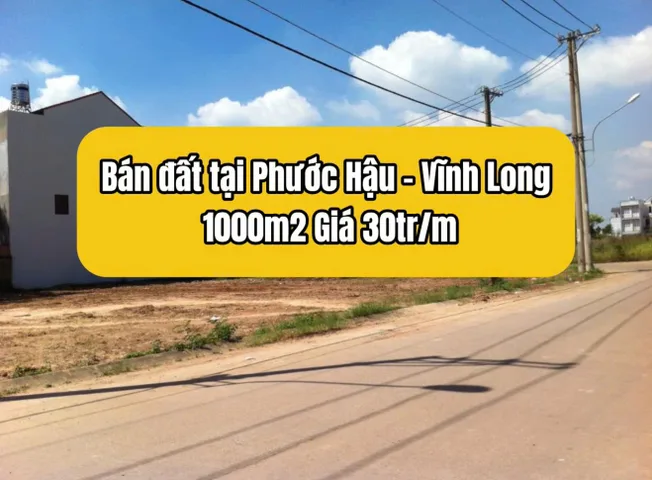 Bán Đất 1000m2 có sẵn 1000 m2 thổ cư giá 30 tỷ tại - Chọn - Phường Phước Hậu Vĩnh Long
