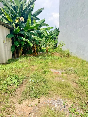 🌿 200m² đất tại Sài Gòn, giá 536 triệu – cùng em Thuý tìm nơi an cư theo túi tiền của mình! 🏡❤️