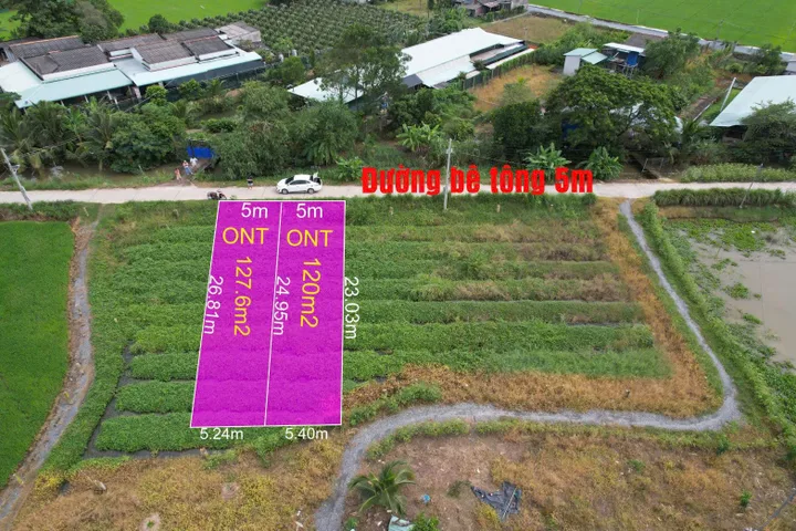 Bấn đất sát bên ngã tư lạc tấn ngần chợ trường học giá 350tr (rẻ nhất khu vực)