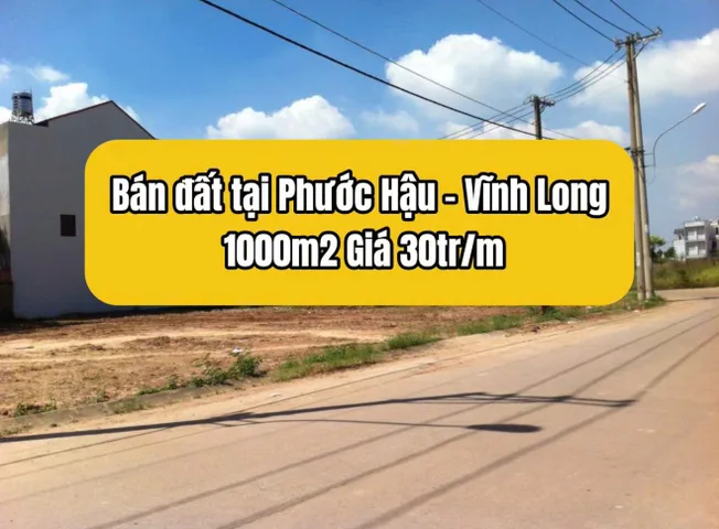 Bán Đất 1000m2 có sẵn 1000 m2 thổ cư giá 30 tỷ tại - Chọn - Phường Phước Hậu Vĩnh Long