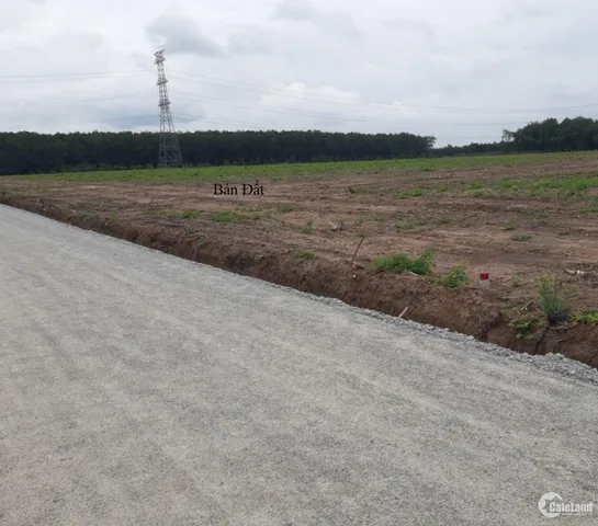 Bán Đất 1000m2 giá 800 triệu tại Xã Cây Trường II Huyện Bàu Bàng Bình Dương