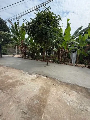 Bán Đất mặt tiền bình nhâm 30 xây nhà vườn bao đep voi dt 432m