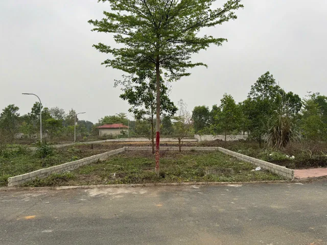 Bán Đất 100m2 có sẵn 100 m2 thổ cư giá 1.6 tỷ tại KĐT Hoà Lạc Xã Sơn Đông Thị xã Sơn Tây Hà Nội