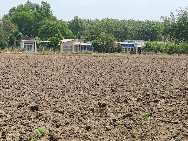 Bán Đất 10000m2 có sẵn 100 m2 thổ cư giá 2.9 tỷ tại Thị trấn Lai Uyên Huyện Bàu Bàng Bình Dương