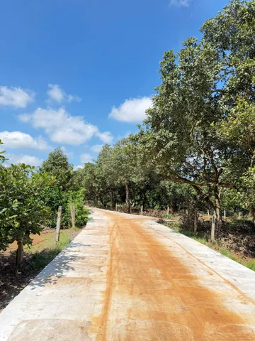 Bán Đất 1000m2 giá 2.4 tỷ tại Xã Túc Trưng Huyện Định Quán Đồng Nai
