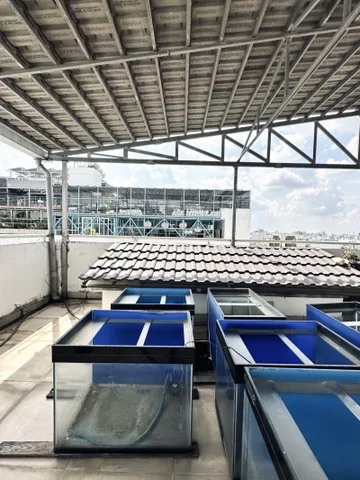 Tòa nhà VP nội thất VIP, sổ A4 Bùi Đình Túy, P.24, Bình Thạnh, 8x36m, 8 tầng, chỉ 43 tỷ