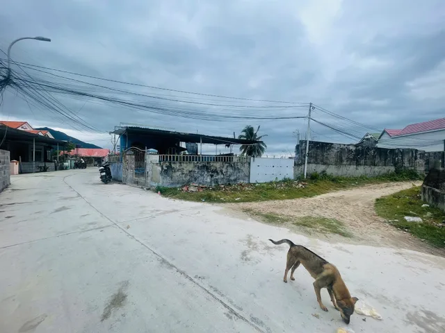 Bán đất Dốc Lết Ninh Hòa 2.623m² 2 mặt tiền gần biển Thủy Đầm, có nhà cấp 4, giá 27 tỷ
