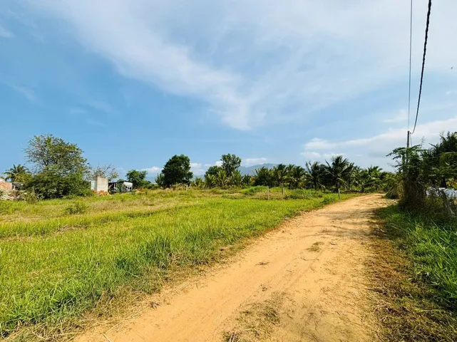 Bán đất Bắc Ninh Hòa 441,4m² full thổ cư, mặt tiền 19,31m, sổ riêng, giá 1 tỷ 450