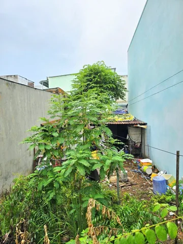 Bán đất nền, 97 m², Thủ Đức